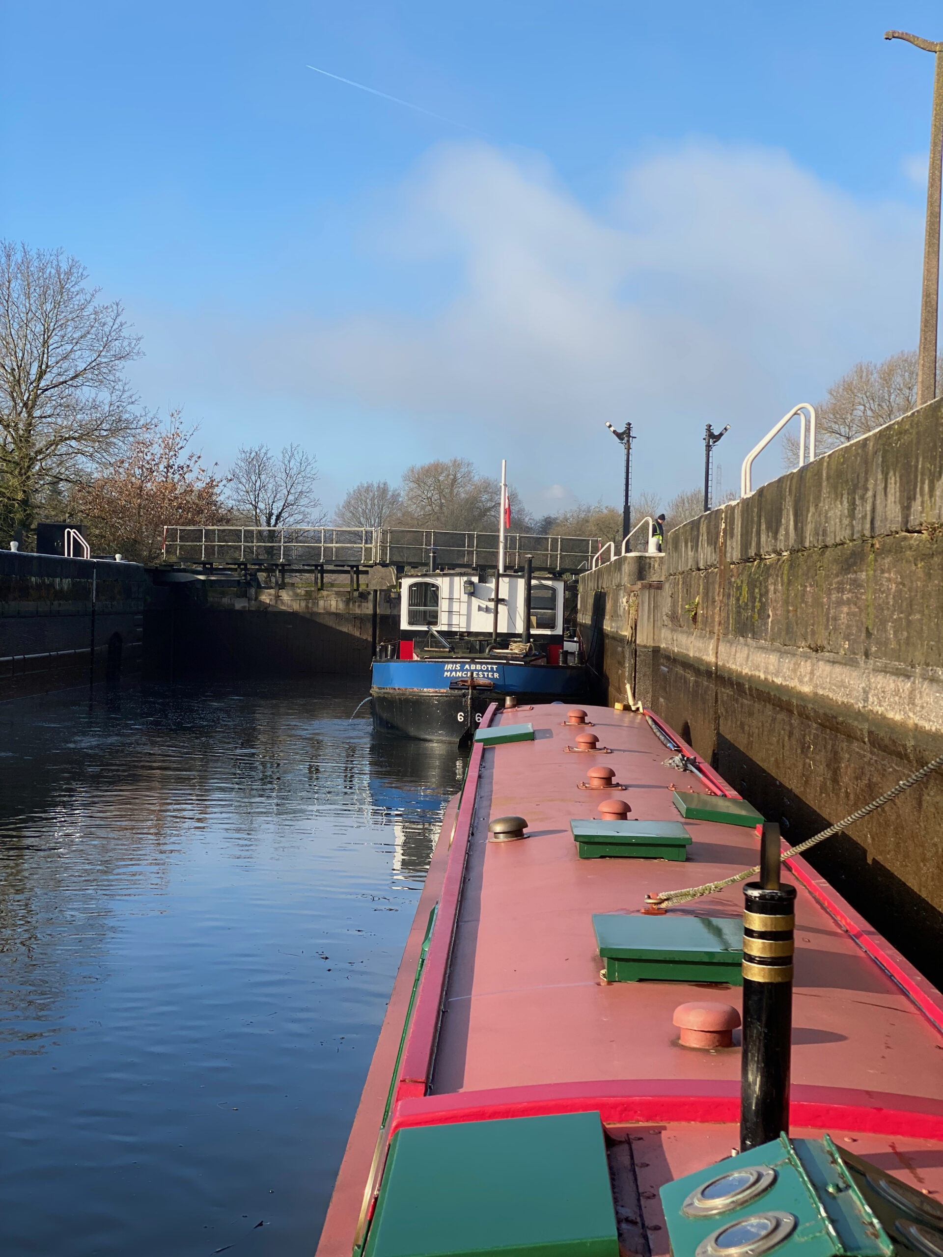 Bream and Iris in Saltersford Lock