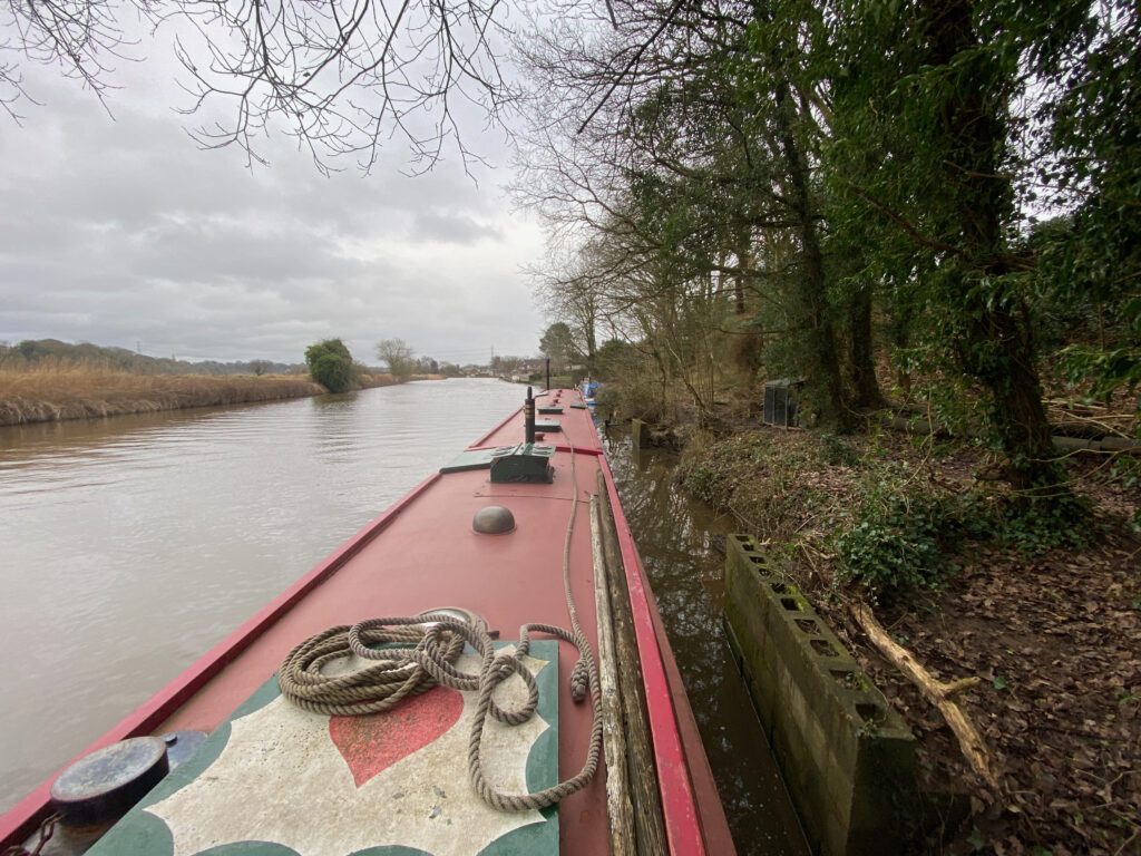 Bream visits Pipes Wharf